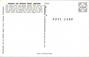 Among Myrtle Trees Oregon OR Old Car Postcard Plastichrome VTG UNP Unused 