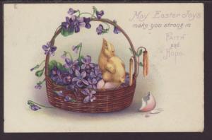 May Easter Joys,Chicks,Flowers Postcard