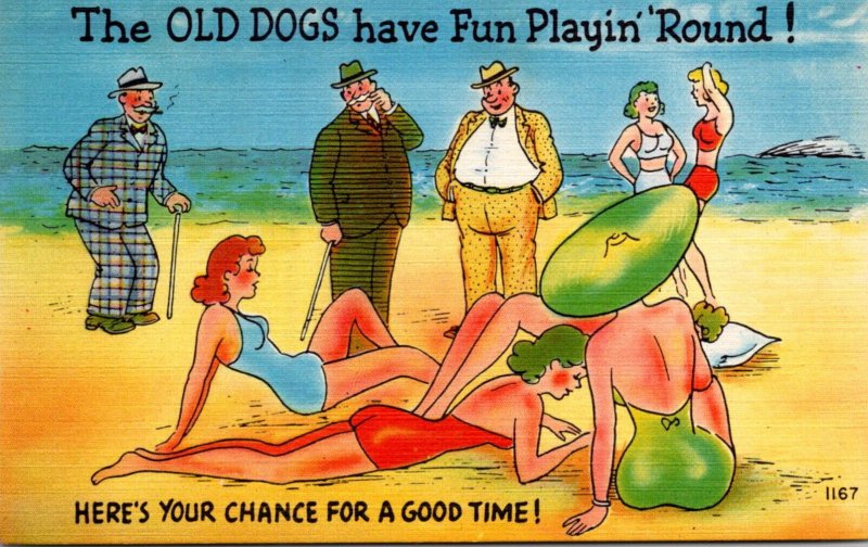 Humour Beach Scene The Old Dogs Have Fun Playin''Round