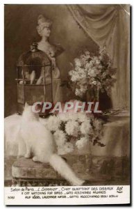 Old Postcard Paris Salon Darriet Cat watching birds