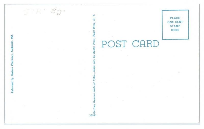 1950s/60s Frederick Memorial Hospital, Frederick, MD Postcard