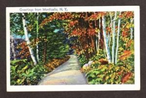 NY Greetings from MONTICELLO NEW YORK Postcard PC