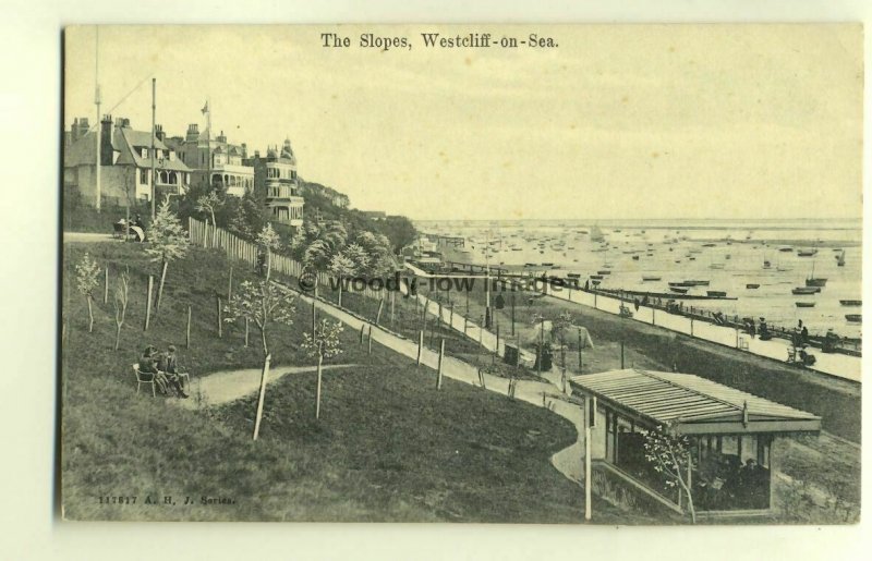 tp4569 - Essex - The Slopes on the Seafront at Westcliff-on-Sea - Postcard 