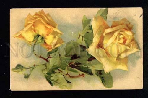 033860 Yellow ROSES Flower By C. KLEIN vintage colorful PC