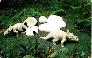 Port Orford OR Oregon  DINOSAUR EGGS Prehistoric Gardens ROADSIDE 1964 Postcard