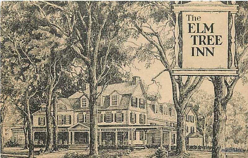 FARMINGTON, CT The Elm Tree Roadside 7661 postcard