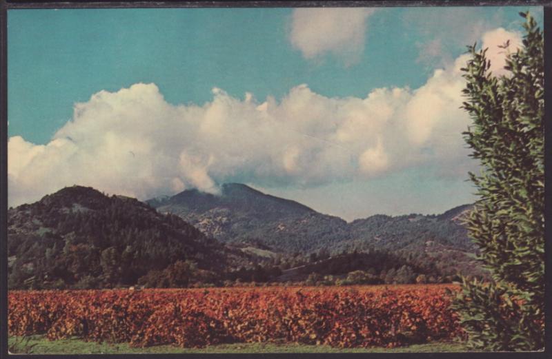Mt St Helena,CA Postcard BIN