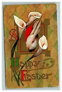 Vintage 1900's Easter Postcard Large White Bunny Head Flowers Argyle Print