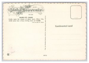 Historic Silver City Idaho Postcard Continental View Ghost Town