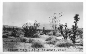 Postcard RPPC Agua Caliente Desert View 23-7186