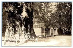 c1930's Rocky Glen Camp Cabin Redwood Tree View CA RPPC Photo Postcard