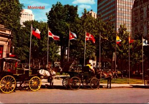 Canada Montreal Caleches Carriages On Dominion Square 1984