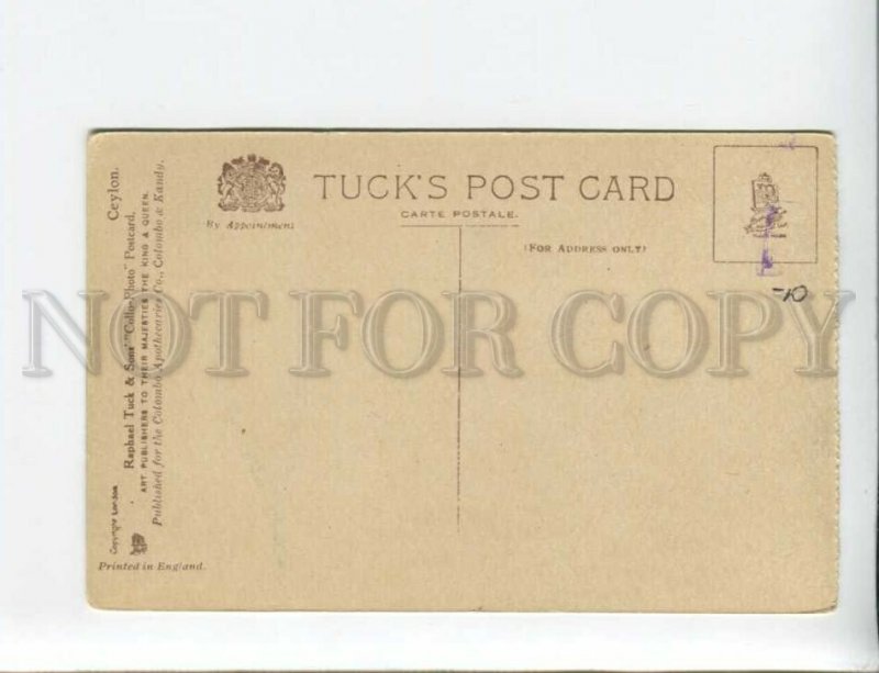 3174010 CEYLON KANDY Victoria Drive Vintage Tuck postcard