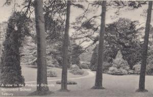 Westonbirt School Pleasure Grounds Woods Tetbury Gloucester Old Postcard