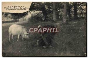 Postcard Old Pig Pig Folklore en Perigord Two researchers Fruitful find truffles