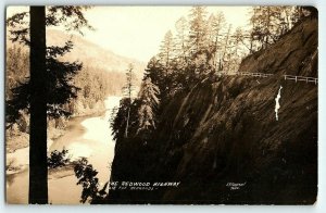 C.1910 RPPC Freeman Redwood Highway Scene, California P151