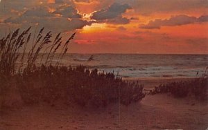 Sunrise at the Shore Misc, Florida  