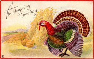 Thanksgiving Greetings With Turkey 1917