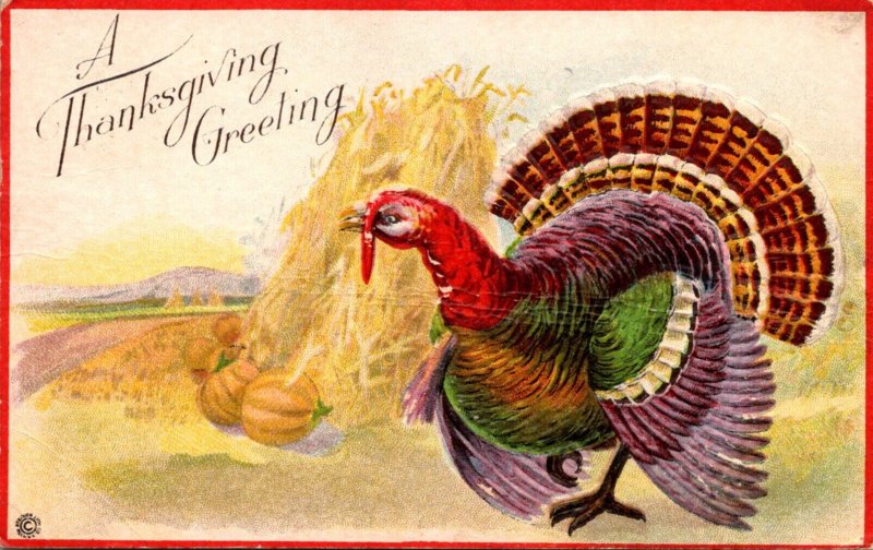 Thanksgiving Greetings With Turkey 1917