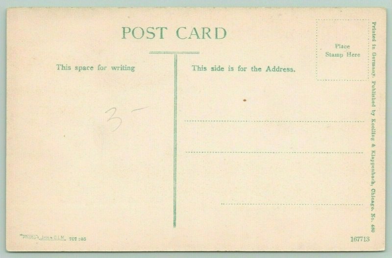 Chicago Illinois~Hamilton Park~Wading Pool~The Small Parks System~c1910 Postcard