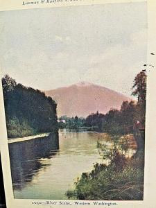 Postcard 1907 View of a River Scene in Western Washington   W6