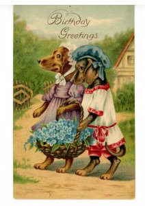 Greeting - Birthday      (Dressed Dogs)