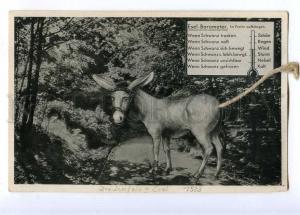 189985 Esel Barometer DONKEY w/ REAL TAIL Vintage postcard