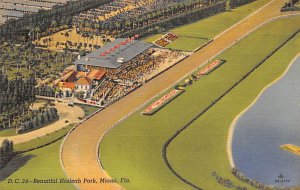 Hialeah Park Race Course - Miami , Florida FL Postcard
