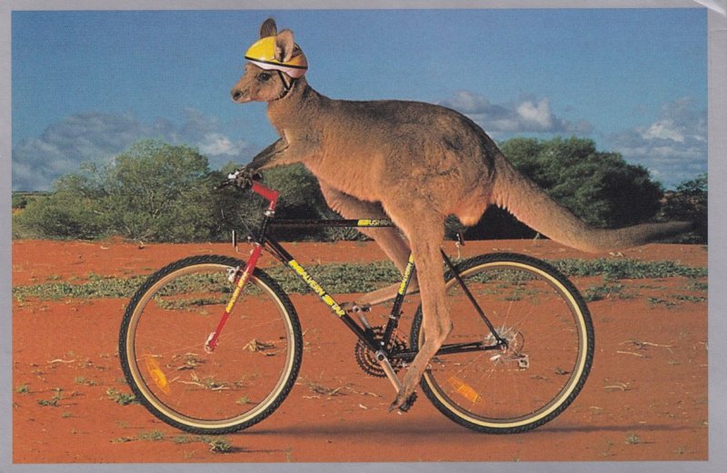 Kangaroo Bicycle Riding Swiftair Plane Advertising Australian Postcard