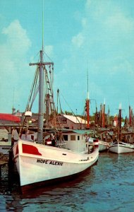 Mississippi Biloxi Shrimp Boats