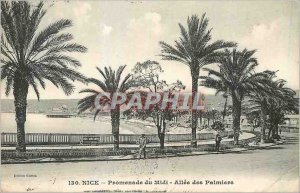 Old Postcard Nice Promenade du Midi Allee des Palmiers