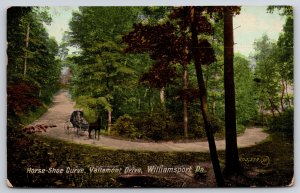 Williamsport Pennsylvania~Horseshoe Curve Vallamont Drive~Horse Cart~PM 1910 PC
