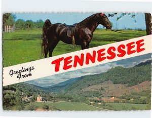 Postcard Greetings From Tennessee