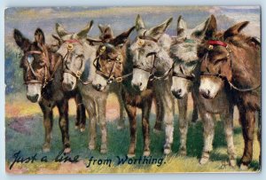 1910 England Tuck Oilette Vintage Postcard Just A Line Worthing Donkey Farm