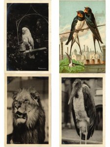 ANIMALS ANIMAUX MIX 300 CPA Pre - 1940