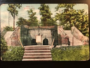 Vintage Postcard 1909 Bear Pit Muncie Indiana IN