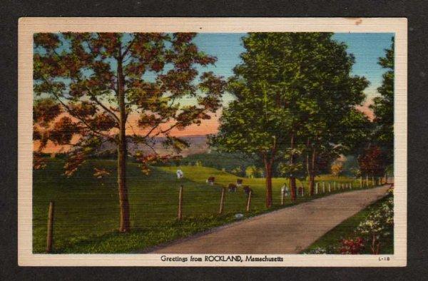 MA Greetings from ROCKLAND MASS Postcard Linen PC Cows