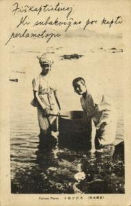 japan, Native Japanese Pearl Divers Girls, Fishing Diving (1910s) Postcard