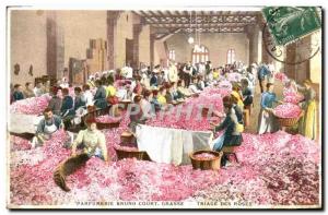 Old Postcard Collection Parfumerie Bruno Court Grasse Sorting roses