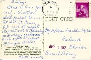 FL - Everglades National Park, Anhinga Trail