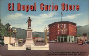 Baja California Mexico El Nopal Curio Store Postcard