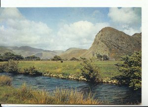 Wales Postcard - The Bird Rock, Nr Towyn, Merionethshire - Ref 15092A