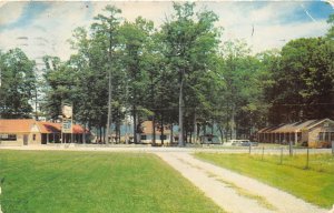 London Kentucky 1958 Postcard Cardinal Motel