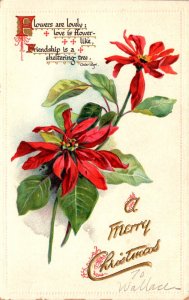 Merry Christmas With Poinsettias Tucks