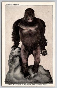 San Antonio Texas African Gorilla Albert's Buck Horn Curio Shop Adv Postcard H27