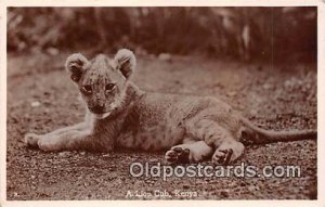 Kenya Lion Cub 1936 