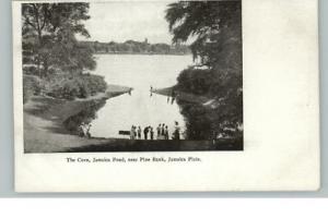 Jamaica Plain Pond Cove Pine Bank c1910 Postcard