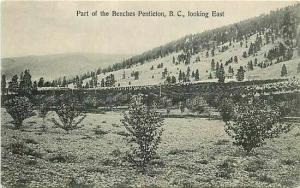 Canada, British Columbia, Penticton, Part of Benches, G.H.E. Hudson 48024