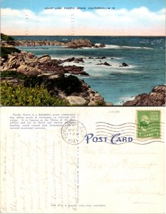 Coast Line, Pacific Grove California (11189)