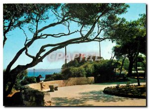 Modern Postcard Island of Ischia Ischia Port